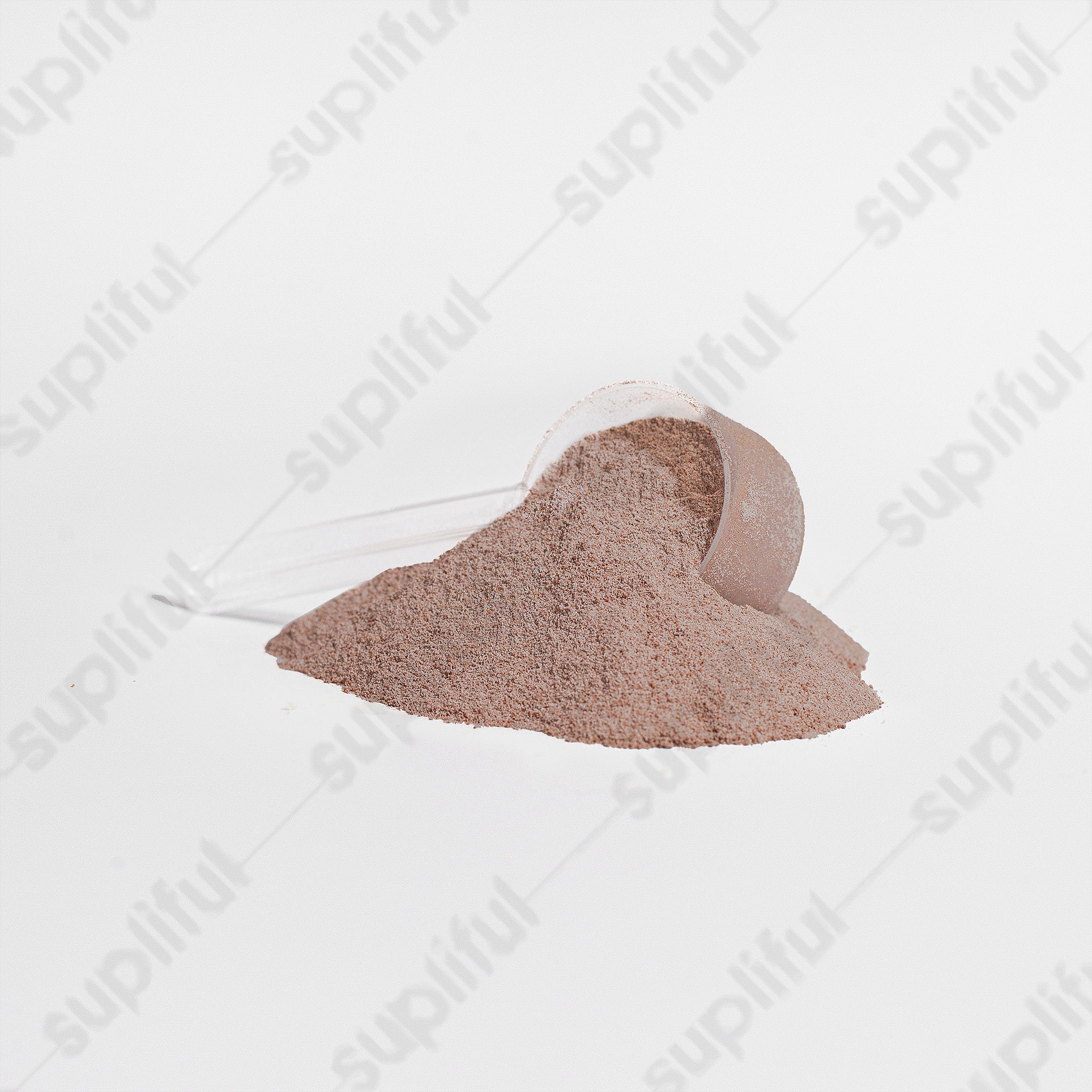 Advanced 100% Whey Protein Isolate (Chocolate)